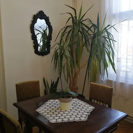 Tulipanvendeghaz Guest house