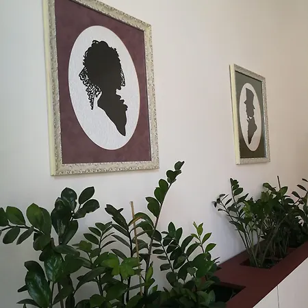 Tulipanvendeghaz Guest house 3*