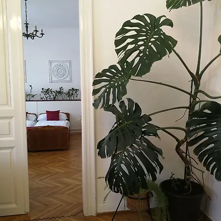 Guest house Tulipanvendeghaz 3*