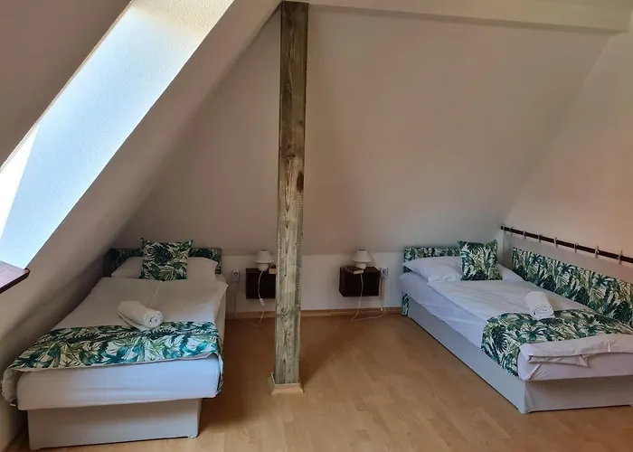 Casa de hóspedes Tulipánvendégház