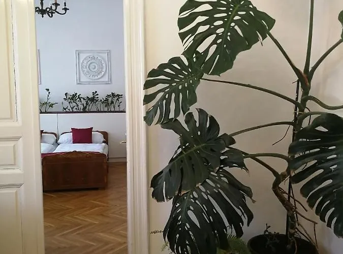 Tulipánvendégház 3*